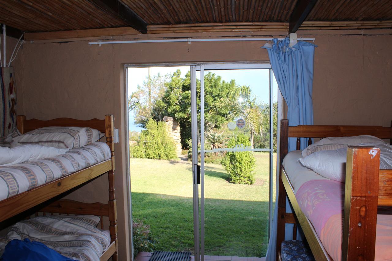 Хостел The Wild Farm Backpackers Вілдернесс Екстер'єр фото